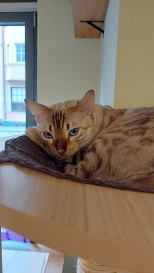  at Katzentempel - Augsburg in Augsburg