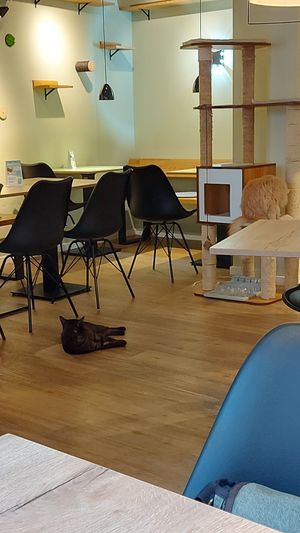  at Katzentempel - Augsburg in Augsburg