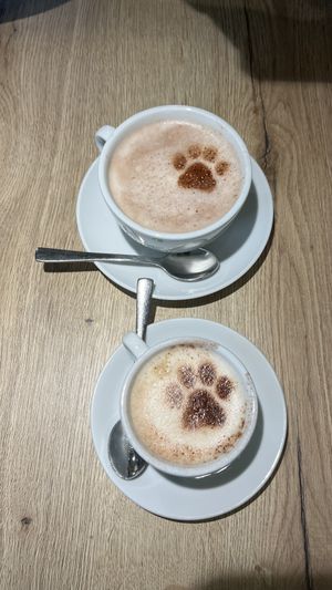  cappuccino und heisse schokolade  at Katzentempel - Augsburg in Augsburg