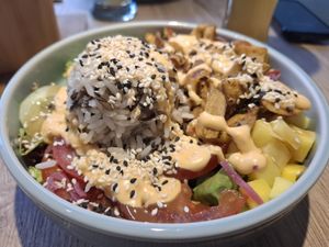  at Katzentempel - Augsburg in Augsburg