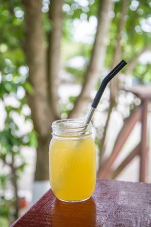 Our refreshing ice teas made from seasonal ingredients sourced directly from the farm.  at Bushbungalow  in All Saints