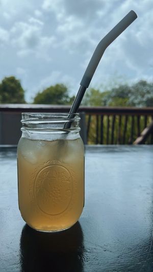 tarragon, lemon grass, ginger and lemon iced tea  at Bushbungalow  in All Saints