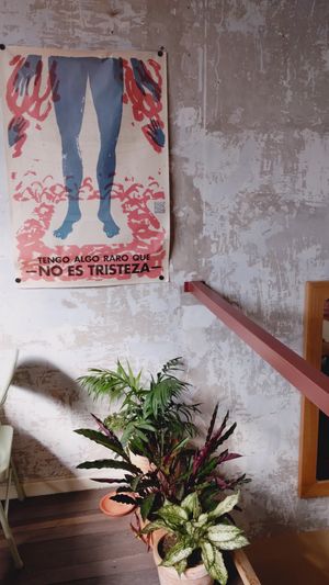  at Real Vegetal in Medellin