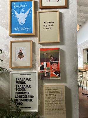   at Real Vegetal in Medellin