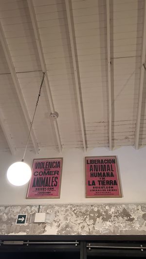   at Real Vegetal in Medellin