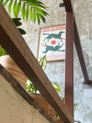 Todos los animales somos importantes 💚 at Real Vegetal in Medellin