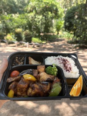 Grilled eggplant and tofu bento  at Somenoya in Barcelona