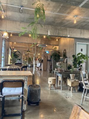 Cutest café ever  at Ksana 크샤나 in Busan