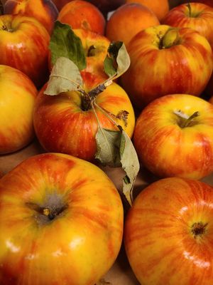 Love sourcing local produce at The Trailhead Public House and Eatery in Moab