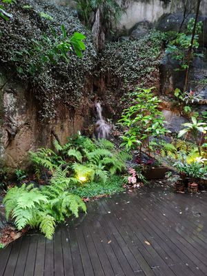 Nice environment at Thais Gois Cozinha Especial in Vitoria