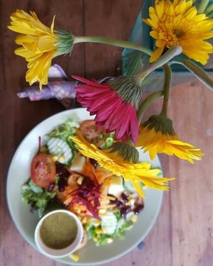salad at Imm Aim Vegetarian and Bike Cafe in Chiang Mai