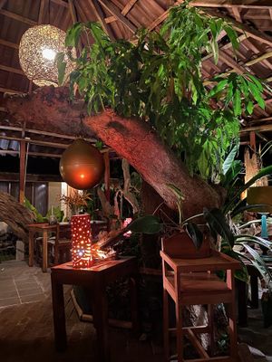 Liebevoll gestalteter Essbereich im Freien   at Taylor's Place Tortuguero in Tortuguero