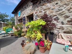 A little oase at Just Mary's in Pwllheli