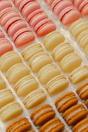  at Weber & Weiss in Ravensburg