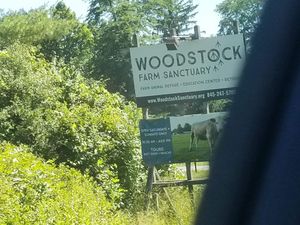 The sign at Woodstock Farm Sanctuary in High Falls