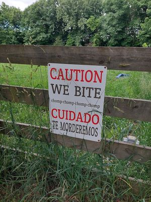Pot-bellied pig area at Woodstock Farm Sanctuary in High Falls