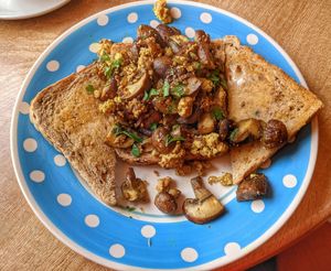 Scrambled tofu with mushrooms at Toucan Cafe in Minehead