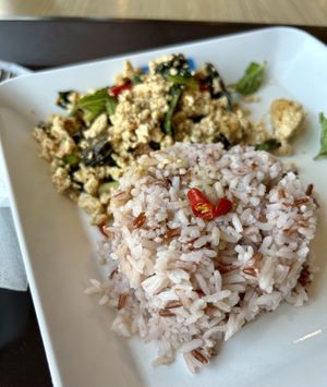 Minced Tofu mit Vollkornreis  at BKK - Veg Stall Food Court - T21 in Bangkok