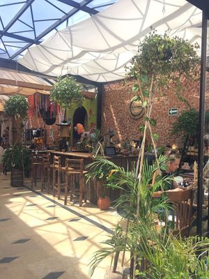  at La Luna Desayuna in San Cristobal De Las Casas