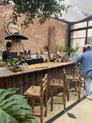 Gorgeous settings  at La Luna Desayuna in San Cristobal De Las Casas