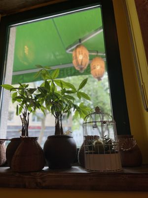   at Hanoi Vegan & Heinenhof in Cologne