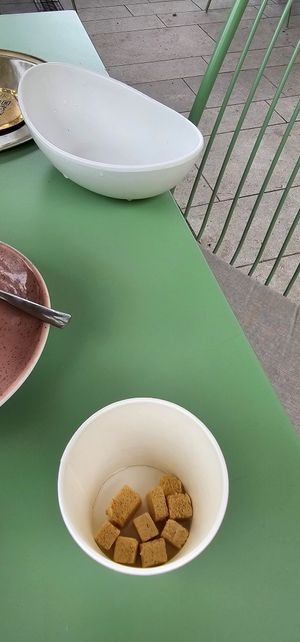  at Grajski Vrt in Tolmin