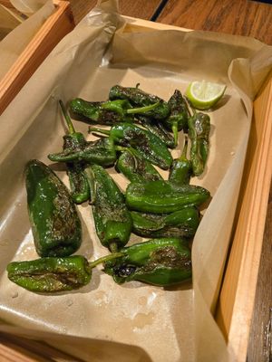 Padrons at No.5 in Sopot