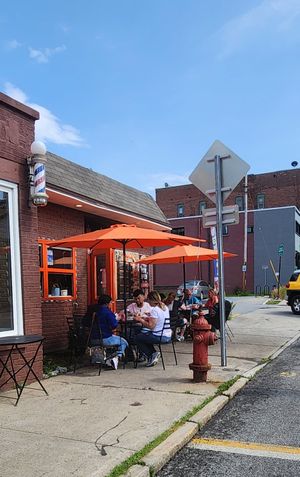 Mediterranean Restaurant 
Vegans  at Alaturco Gyro in Ballston Spa