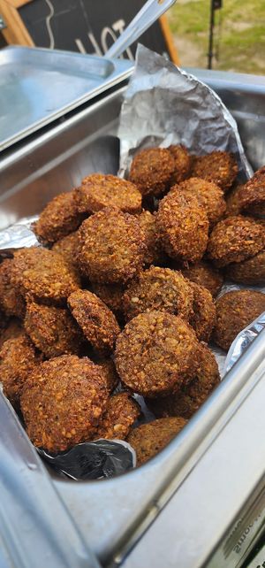  at Alaturco Gyro in Ballston Spa