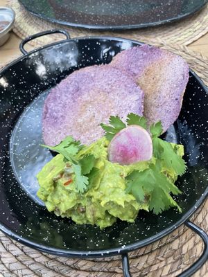 Guacamole was great and they brought soft and crisp corn tortillas with it    at Tierra Ixim in Bacalar
