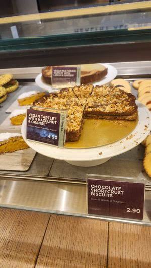  at VCE - Natoo in Venice