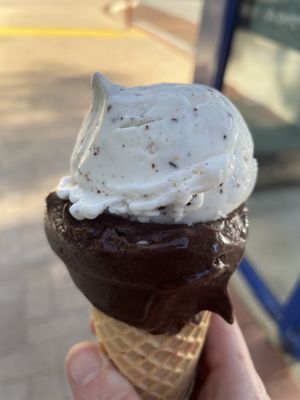 Swiss chocolate and peanut butter choc chip  at Gelato Bar in Cottesloe
