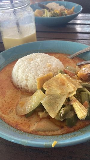 Curry on rice  at Life Style Thai Food in Koh Phangan
