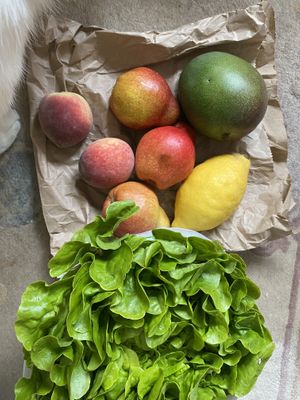  beloved fruits and lettuce   at Unicorn Grocery in Manchester