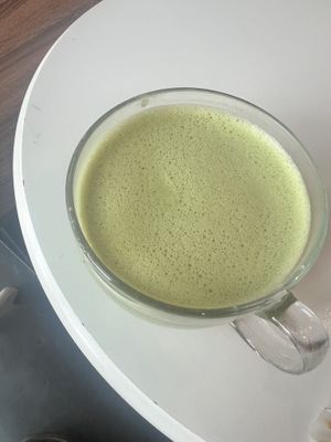   at Lady and the Mug in Tampa