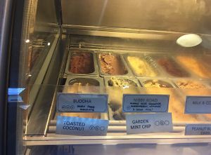 Vegan ice cream options  at French Broad Chocolate Lounge in Asheville