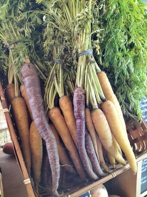   at Chettle Village Stores in Blandford Forum