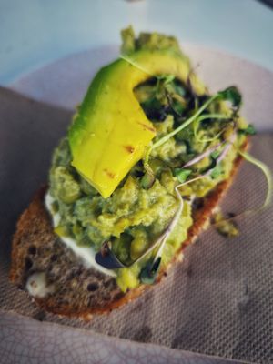 Avo pea toast at Victus Coffee & Eatery in Nelson