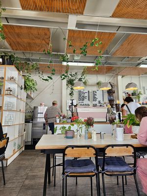  at Victus Coffee & Eatery in Nelson