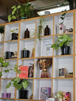  at Victus Coffee & Eatery in Nelson