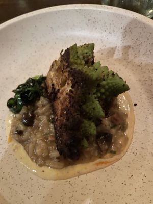 4th coursee  at Ground Provisions in West Chester