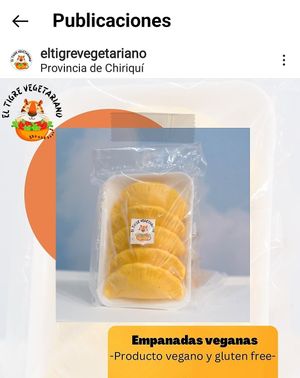  at El Tigre Vegetariano in David