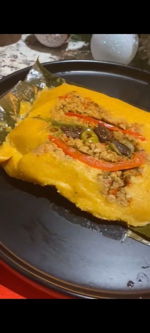  at El Tigre Vegetariano in David