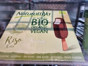 Vegan icecream at Biotaste Biowinkel in Deinze