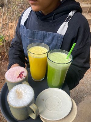  at Pájaro Café Bosque in Avandaro