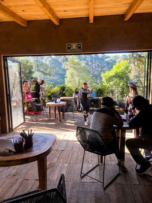  at Pájaro Café Bosque in Avandaro