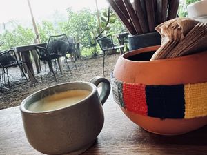 Hot frothy golden milk!  at Pájaro Café Bosque in Avandaro