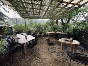 Outdoor  at Pájaro Café Bosque in Avandaro