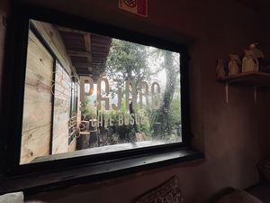 Pájaro Café Bosque  at Pájaro Café Bosque in Avandaro