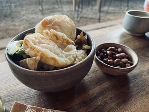 Chilaquiles veggie with beans  at Pájaro Café Bosque in Avandaro